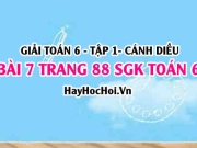 Giải bài 7 trang 88 Toán 6 Tập 1 SGK Cánh Diều